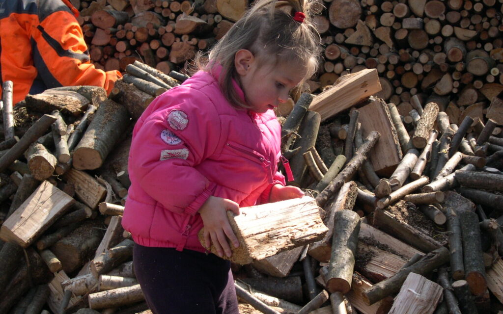 Bambina che porta un ciocco di legna durante l’accatastamento. Nel Bellunese la legna è tradizione che si tramanda